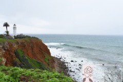 Landscapes and Wildlife